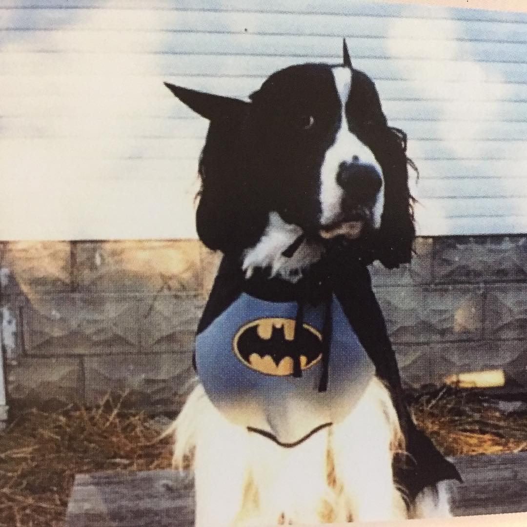 36914239_1792857337456659_7810266760690532352_n